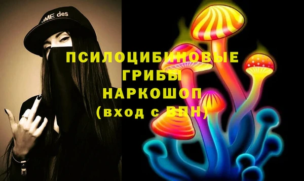 таблы Богданович