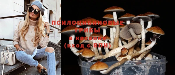 прущая мука Богородск