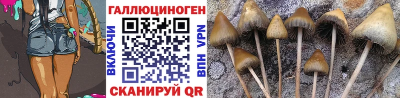 Галлюциногенные грибы GOLDEN TEACHER купить Олёкминск